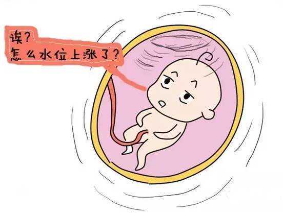 27岁左侧10个卵泡右侧7个卵泡怎么回事?,供卵代怀费用明细